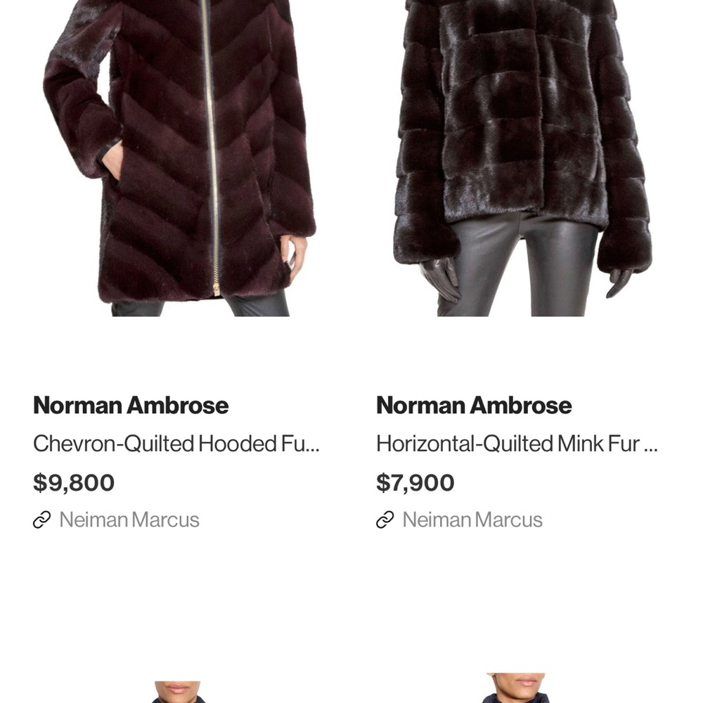 Mink Jacket - Picture 10 of 11